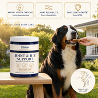 Friandises à Mâcher Tendres pour Chiens – Formule Soin Articulaire : Glucosamine, Chondroïtine, MSM, Acide Hyaluronique – Mobilité Senior Naturelle – Vente en Gros
