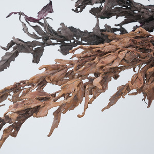 Branches d'herbe artificielle en diamant uni, marron, violet, rouge, en LDPE, pour décoration intérieure, bricolage, art floral - Product Image 3