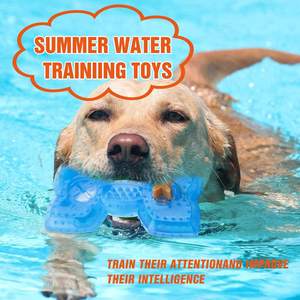 Été Nouveau Bonne Qualité Qualité Alimentaire Résistant aux Morsures Glace Gel Cool Chien Molaire TPR Refroidissement Durable Pet Chewing Bone Toys - Product Image 5