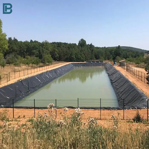 Hiện đại không thấm nước PVC LDPE EVA LLDPE Màng Lót cho hồ bơi đập Cá Ao 0.3-3 mét <span class=keywords><strong>HDPE</strong></span> màng đất đổ bassin lót - Product Image 4