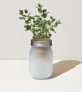 Pots de <span class=keywords><strong>jardin</strong></span> d'herbes écologiques au <span class=keywords><strong>design</strong></span> moderne Cadeaux de cuisine de la taille d'une pinte Pot de fleur en fibre de plante Ensemble de jardinage pour la décoration intérieure - Product Image 5