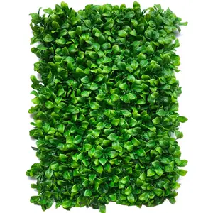 Achtergrond Moss Groen Gras Muur Mat Gras Panel Met Led Licht