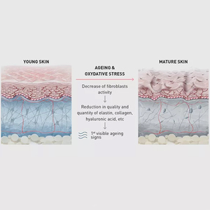 Ampoules de Luxe pour Éliminer les Marques d'Acné, avec Sérum N.CTF HA <span class=keywords><strong>134</strong></span> Booster Cutané pour Améliorer la Qualité et la Texture de la Peau - Product Image 3