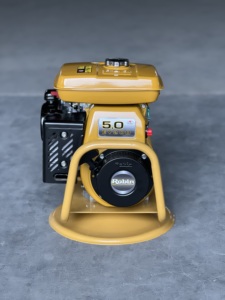 China Jiangsu Factory <strong>Concrete</strong> <strong>Vibrator</strong> By High Quality <strong>Robin</strong> Gasoline Engine EY20D For Hot Sale - Product Image 5