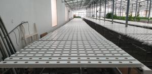 Hydroponic nft Channel สำหรับเรือนกระจก, ติดตั้งง่าย, PVC เกรดอาหาร, ฝาครอบที่ถอดออกได้, ฐานโค้ง, ความจุหนัก - Product Image 4