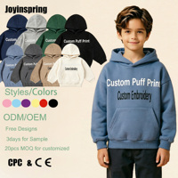 Sweat-shirt à capuche pour garçons en coton doux et confortable, avec logo personnalisé, impression en relief personnalisée et choix multicolores, vente en gros