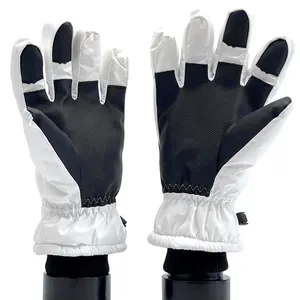 Winter Waterproof Ski Gloves And Snow Snowboard Gloves For Women Men And Kids Sports Arctic Velvet Windproof Customize