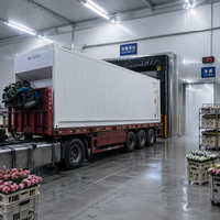 Conteneur frigorifique mobile CA, chambre froide à atmosphère contrôlée pour le stockage de fruits, légumes et fleurs