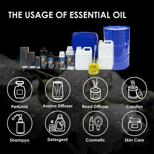 CNUS OEM Natural Plant Extract Fragrance Oil Wholesale Arabic Custom Roll-on Essential Oil Luxury Dubai <strong>Perfume</strong> Oil - Product Image 4