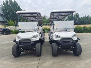Más barato 2 plazas eléctrico potente litio 2 4 6 plazas carrito de Golf eléctrico caza Rover carrito de Golf Buggy de Golf - Product Image 2