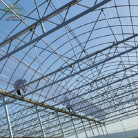 Serre agricole multi-travées en film PE de type arche pour la culture de poivrons, laitues, concombres, tomates, piments, fraises, myrtilles