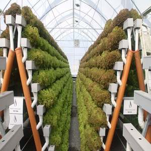 Producto estrella: Sistema hidropónico en forma de A con tubería plana y acero inoxidable para invernadero acuapónico - Product Image 3