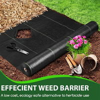 Bâche agricole anti-herbe tapis de protection contre les mauvaises herbes paysage tissu couvre-sol