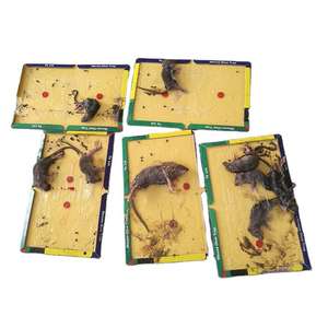 <span class=keywords><strong>Cafard</strong></span> Rat Pièges à souris Collant Papier Conseil Souris Colle Piège pour la Maison Physique Lutte Antiparasitaire pour le Contrôle des Insectes Utilisation Acceptable - Product Image 4