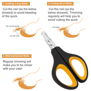 Customized Non-Foldable Stainless Steel Pet Grooming <b>Scissors</b> for <b>Dogs</b> and Cats-Beauty Tool - Product Image 2