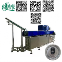 Machine de marquage laser à fibre Alu Cap Chestny Znak GS1DataMatrix EZCAD pour ligne de production de canettes de bière, traçabilité un article un code
