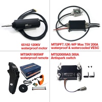 Kit Efoil en stock : Moteur de propulsion ESC 65162 120KV, Moteur étanche, Contrôleur VESC 200A, Télécommande 1905WF, Interrupteur 300A