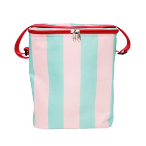 ग्रीष्मकालीन पुनः प्रयोज्य फैशन पर्यावरण के अनुकूल 14 एल इन्सुलेट पिकनिक कूलर बैग - Product Image 4