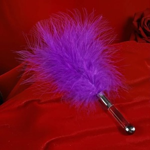 Fouet de bondage en plumes avec différentes couleurs, fouet de bondage, fouet BDSM pour femmes et couples, jouets sexuels pour adultes - Product Image 4
