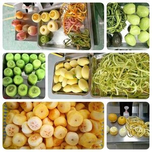Stainless Steel Automatic Fruit &amp; <strong>Veg</strong> <strong>Peeler</strong> - Product Image 3