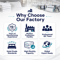 Coussin d'hôtel en tissu brossé blanc, literie hôtelière pour gîtes et appartements, vente en gros d'usine, fournisseur direct OEM personnalisé