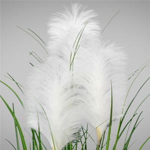 100cm Hauteur Artificielle <span class=keywords><strong>Pampa</strong></span> Roseau <span class=keywords><strong>En</strong></span> <span class=keywords><strong>Pot</strong></span> <span class=keywords><strong>De</strong></span> Plantes pour <span class=keywords><strong>La</strong></span> Décoration Artificielle Plante Arbres <span class=keywords><strong>En</strong></span> Plastique <span class=keywords><strong>De</strong></span> Couleur Verte 50 pièces - Product Image 4