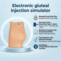 Simulador Electrónico de Inyección Glútea con Alarma y Retroalimentación para Entrenamiento de Enfermeras y Pacientes, Directo de Fábrica con Certificaciones CE ISO ROHS CNAS