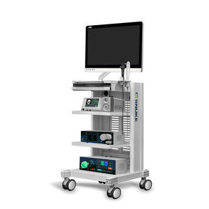 Équipement de diagnostic vétérinaire tout-en-un, support de moniteur médical en métal, chariot d'endoscopie, certifié CE, SNUKE LN-N8001, classe II 1 - Product Image 2