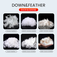 Insert de coussin en plumes de canard personnalisé expédition rapide pour lit et canapé duvet d'oie et oreiller en plumes