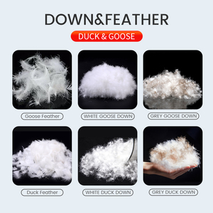 Fast Shipping Custom Duck Feather Cushion Insert For Bed And Sofa <strong>Goose</strong> <strong>Down</strong> And Feather <strong>Pillow</strong>