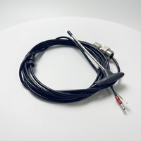 Sonde centrale RATIONAL 40.00.608P pour fours vapeur et cuisson tout-en-un