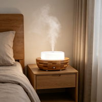 Humidificateur à ultrasons à brume froide, diffuseur d'huiles essentielles décoratif, machine à parfum multifonctionnelle pour aromathérapie, vente chaude
