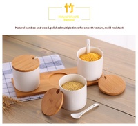 Pot à épices en céramique, récipient à assaisonnements de cuisine, couvercle en bambou, cuillère, design moderne et minimaliste