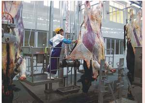 Équipement d'abattoir équipement D'abattoir d'abattoir accessoires outils vente <span class=keywords><strong>pas</strong></span> <span class=keywords><strong>cher</strong></span> bétail équipement d'abattage - Product Image 5