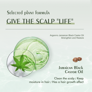 Aceite de Castor para el cabello, deshumidificador de aceite de cáñamo para el cabello, hidratante, anticaspa, de marca privada - Product Image 4