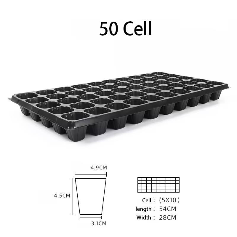 Noir 50 cellules