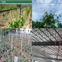 Accessoires pour serres agricoles Treillis pour vigne Fil plastique monofilament en polyester