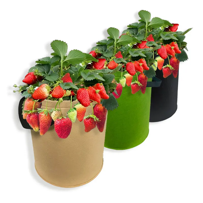 Eco-friendly Nonwoven Fabric Plant Grow Bags Felt Grow Pots Tomato Potato Nursery Plant Grow Bag