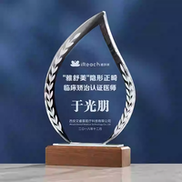 Trophée en cristal transparent de qualité supérieure avec base en bois naturel, plaque en cristal gravée sur mesure, trophée de reconnaissance des vainqueurs de compétition