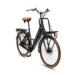Mới được thiết kế <span class=keywords><strong>3</strong></span>-tốc độ 36V/13ah Ebike động cơ không chổi than đĩa kép phanh điện tử 250W 25 km/h pin lithium qua biên giới cho - Product Image 2