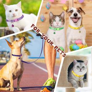 Kingtale Hundehalsband und Leinenset Polypropylen verstellbare Welpenhalsbänder für mittlere Hunde kleine Hunde Haustier Lauftraining - Product Image 6