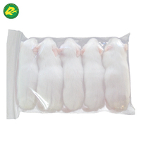 400g + Tikus Jumbo Beku untuk Ular Peliharaan Spesies Python Lebih Besar dan Predator Besar Peternakan Harga Ekonomis