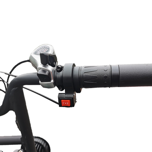 20 ''<span class=keywords><strong>X</strong></span> 4.0 pollici 48v 500w da crociera sulla spiaggia E-bike Chopper bicicletta elettrica con telaio a sospensione completo montato a batteria Fat Bike elettrica - Product Image 5