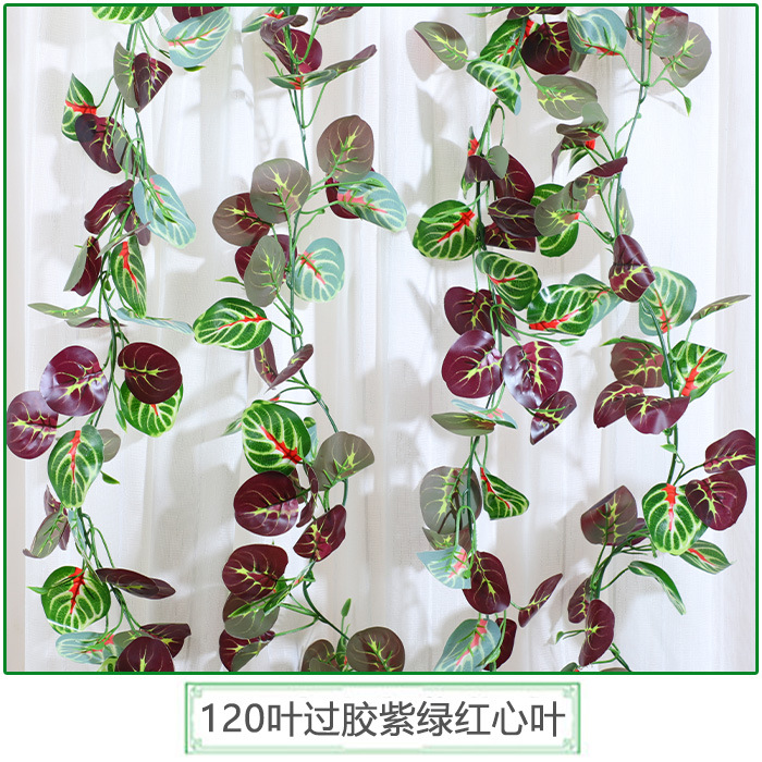 ใบไม้ 99 ใบเคลือบด้วยกลูเตน ใบสีม่วง-เขียว และใบสีแดงรูปหัวใจ