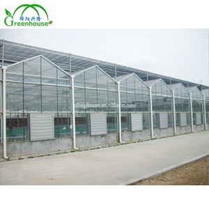 <span class=keywords><strong>Serre</strong></span> en <span class=keywords><strong>verre</strong></span> de Style allo néerlandais, avec toit mobile, deuxième main - Product Image 1