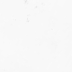 Blanc brillant (Acier)