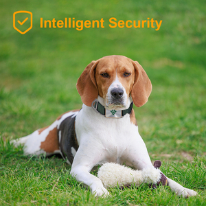 AI Slimme Huisdierhalsband Gezondheidsmonitoring <span class=keywords><strong>GPS</strong></span>-tracking Snelle Ontgrendeling Oplaadbaar Modern Design Duurzame Bandjes Solide voor Honden Katten - Product Image 1