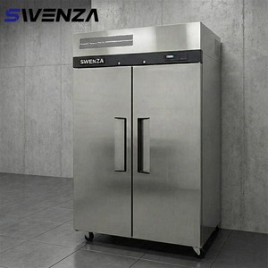 Congelatore Verticale in Acciaio Inox di Grande Capacità, Frigorifero Commerciale per Hotel e Catering - Product Image 1