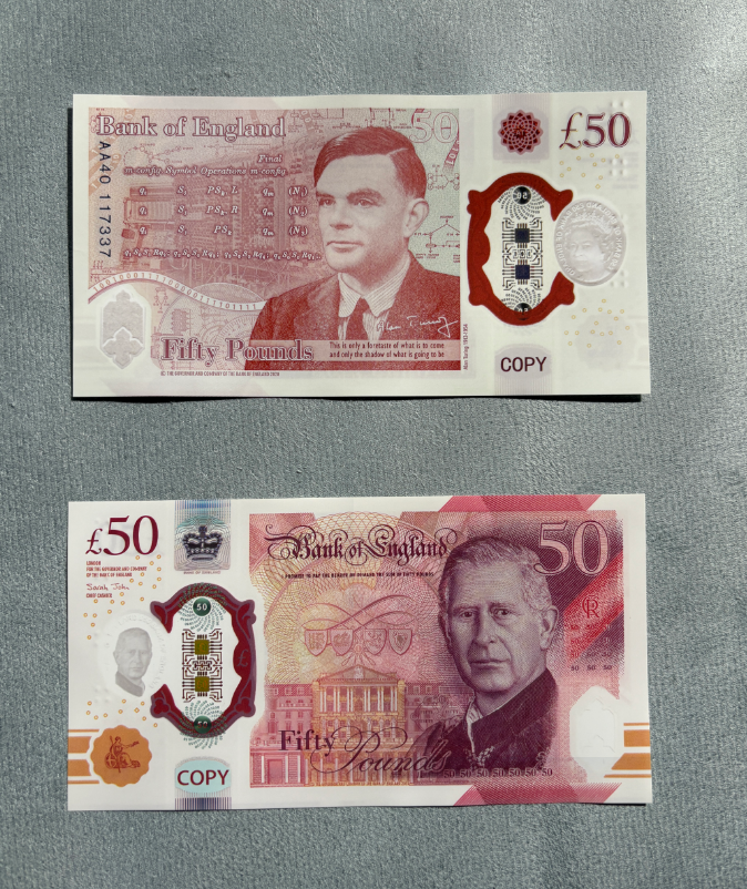 Blanc 50 King Plastique (50 pièces/PACK)