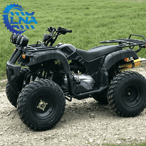 Kit de carrosserie pour <span class=keywords><strong>quad</strong></span> ATV certifié LNA CE 250cc <span class=keywords><strong>homologué</strong></span> CE pour les sentiers de montagne - Product Image 3